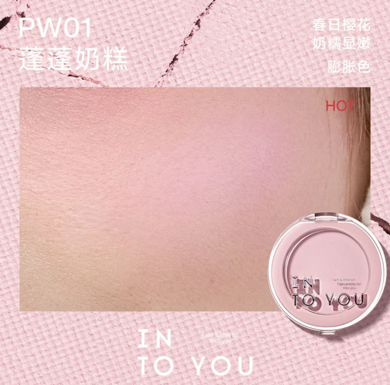 INTO YOU - Fluffy Pillow Single Blusher